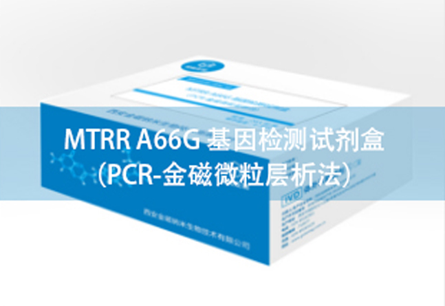  MTRR A66G 基因检测试剂盒